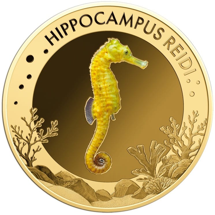 Gabon - Pièce 1000 Francs CFA or - Hippocampe à long nez
