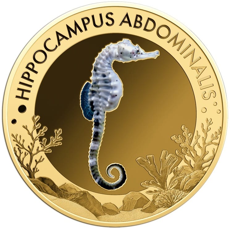 Gabon - Pièce 1000 Francs CFA or - Hippocampe à gros ventre