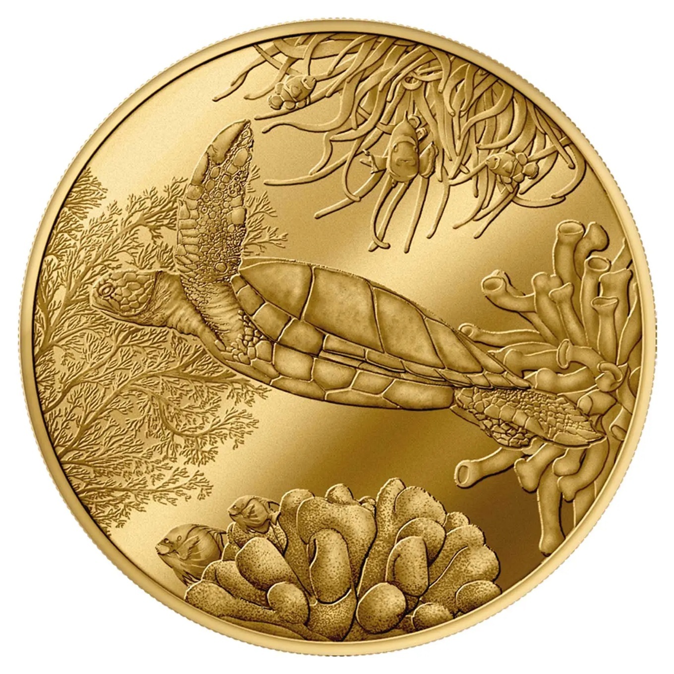 France - Médaille 2026 cuivre-nickel-aluminium - Tortue / Aquarium de La Rochelle