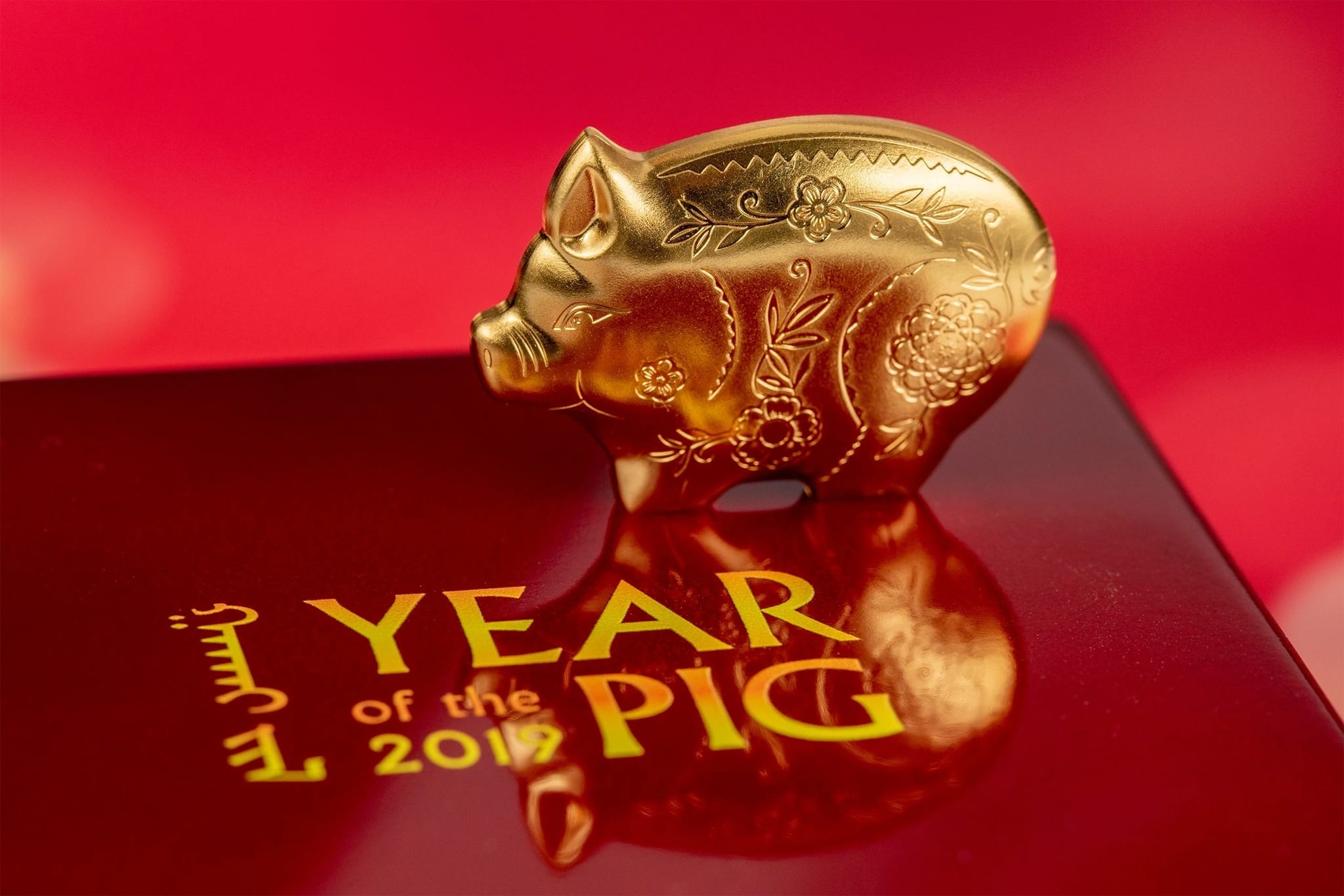 Mongolie - Pièce 1000 Tögrög 2019 1 once argent plaqué or Soyeux - Année lunaire du Cochon – Image 4