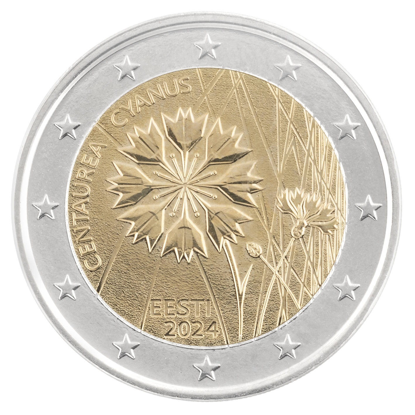 Estonie - Pièce 2 Euro 2024 cupro-nickel et nickel-laiton - Bleuet