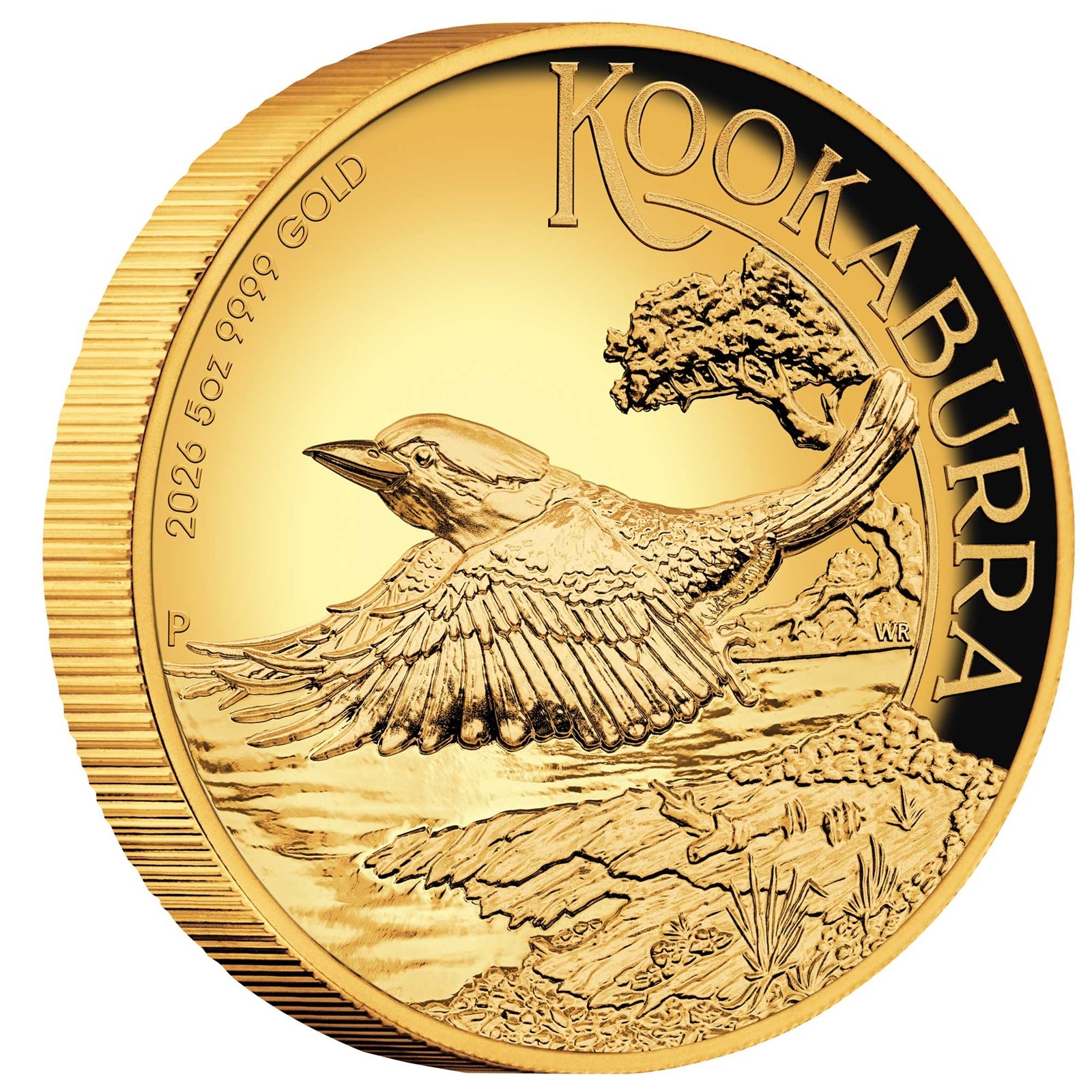 Australie - Pièce 500 Dollars 2026 5 onces or BE - Kookaburra australien – Image 5