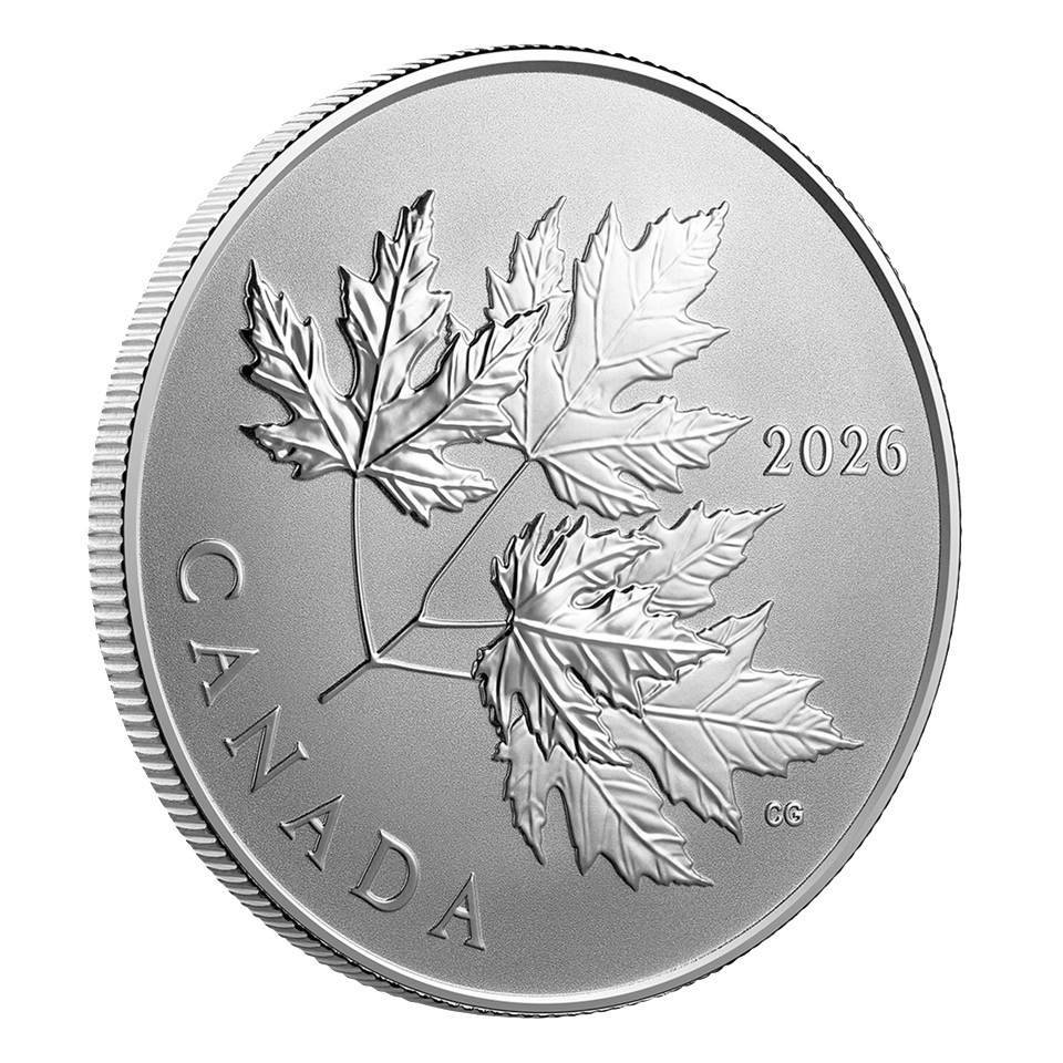Canada - Pièce 10 Dollars 2026 argent BE inversé - Etincelantes feuilles d’érable – Image 4