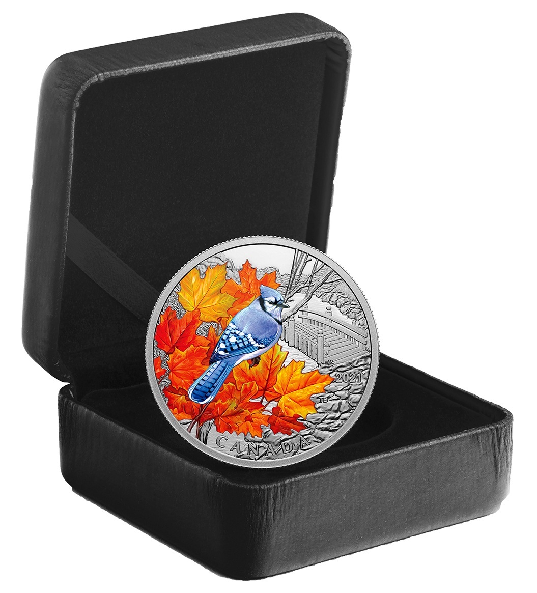 Canada - Pièce 20 Dollars 2021 argent BE - Geai bleu – Image 3