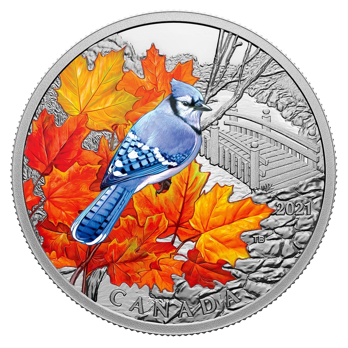 Canada - Pièce 20 Dollars 2021 argent BE - Geai bleu
