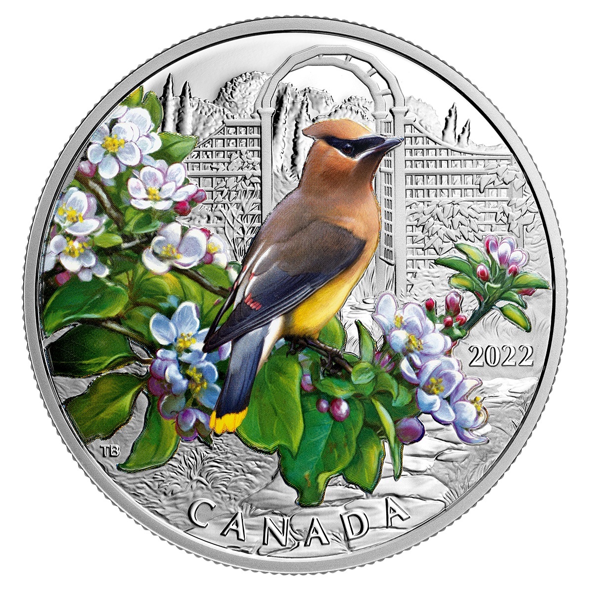Canada - Pièce 20 Dollars 2022 argent BE - Jaseur d’Amérique