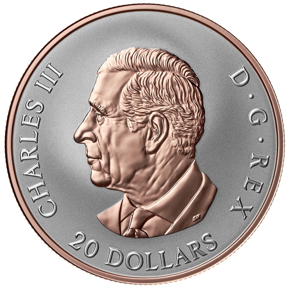 Canada - Pièce 20 Dollars 2026 argent BE inversé - Célébration de l’amour – Image 2
