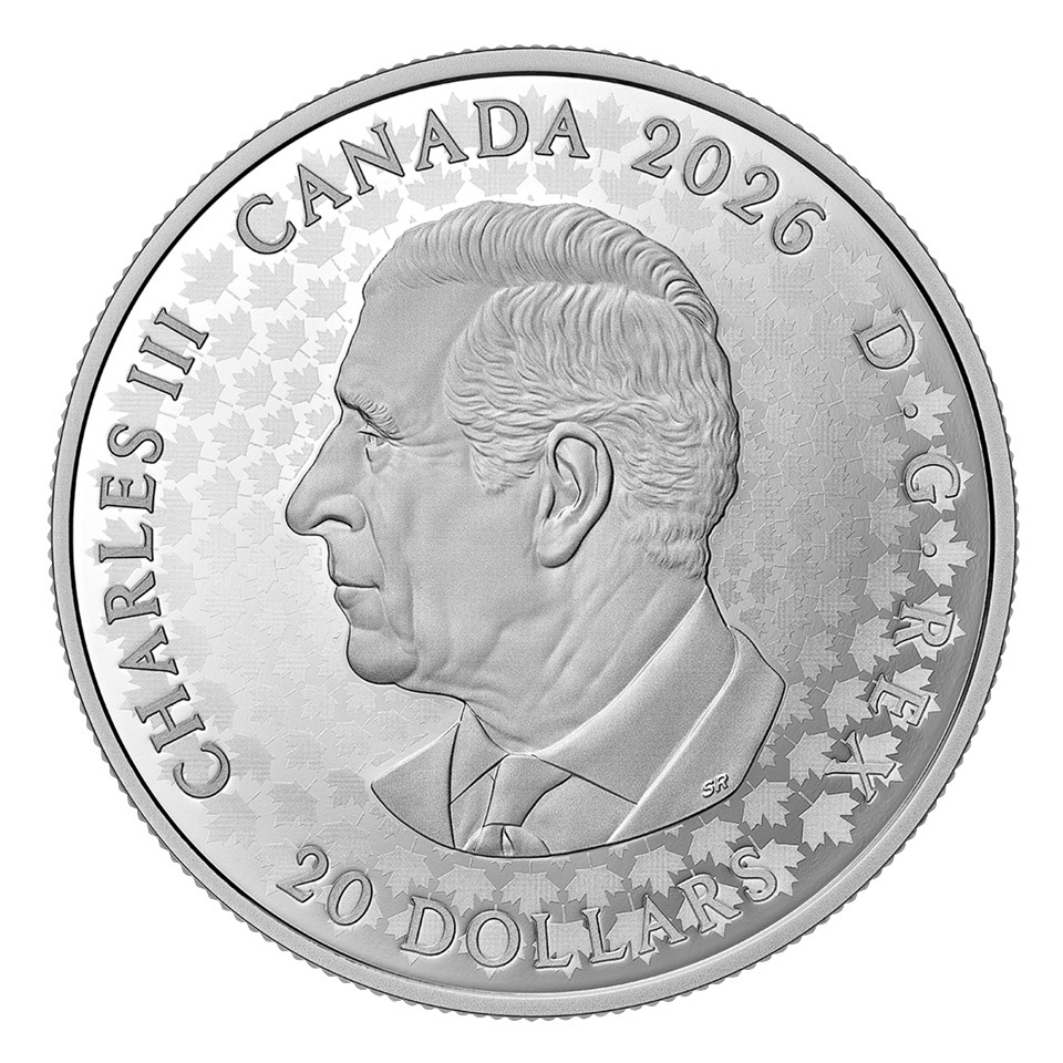 Canada - Pièce 20 Dollars 2026 argent BE - Symboles Adinkra – Image 2