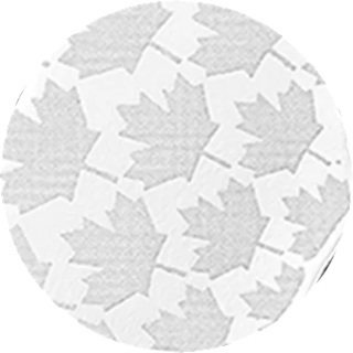 Canada - Pièce 20 Dollars 2026 argent BE - Symboles Adinkra – Image 5