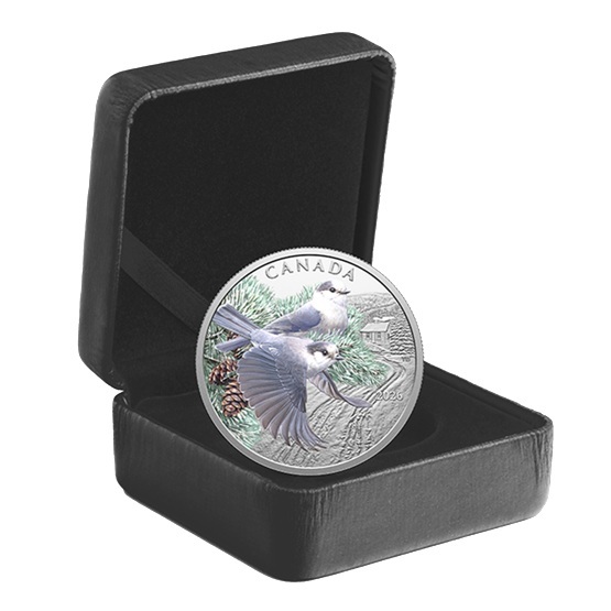 Canada - Pièce 20 Dollars 2026 argent BE - Mésangeais du Canada – Image 3