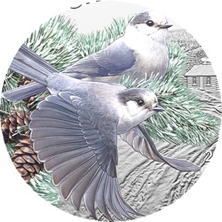Canada - Pièce 20 Dollars 2026 argent BE - Mésangeais du Canada – Image 5