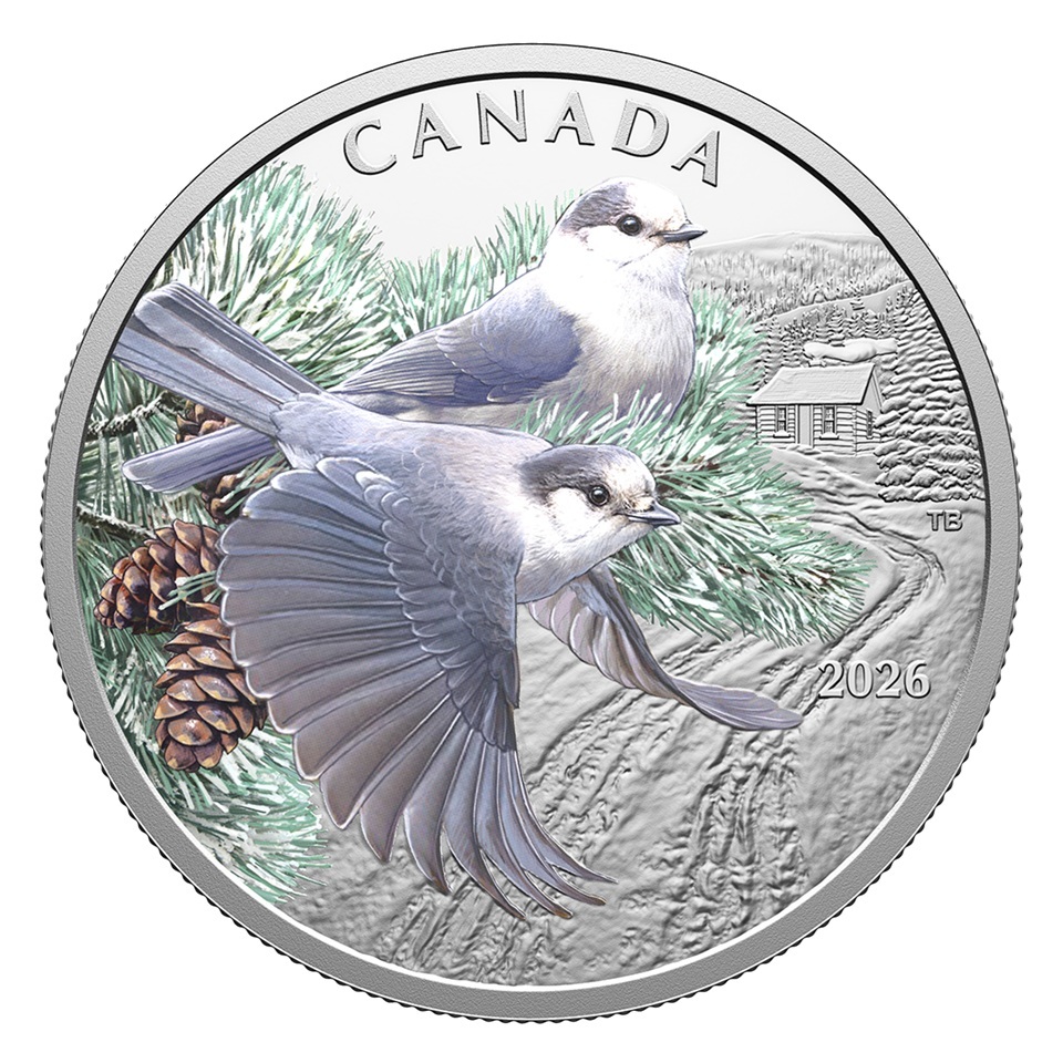 Canada - Pièce 20 Dollars 2026 argent BE - Mésangeais du Canada