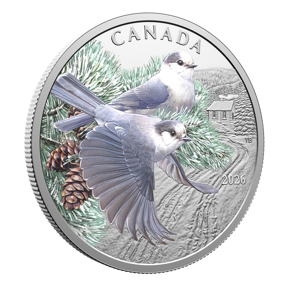 Canada - Pièce 20 Dollars 2026 argent BE - Mésangeais du Canada – Image 4