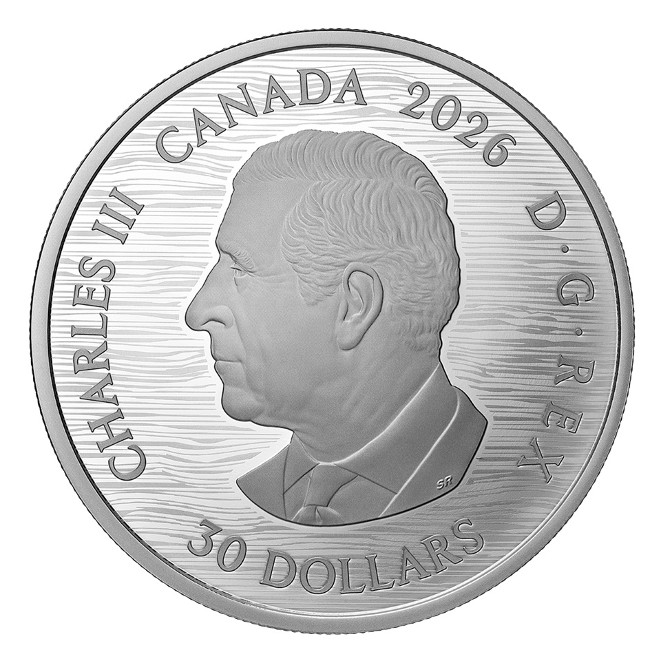 Canada - Pièce 30 Dollars 2026 argent BE - Le pin, de Tom Thomson – Image 2