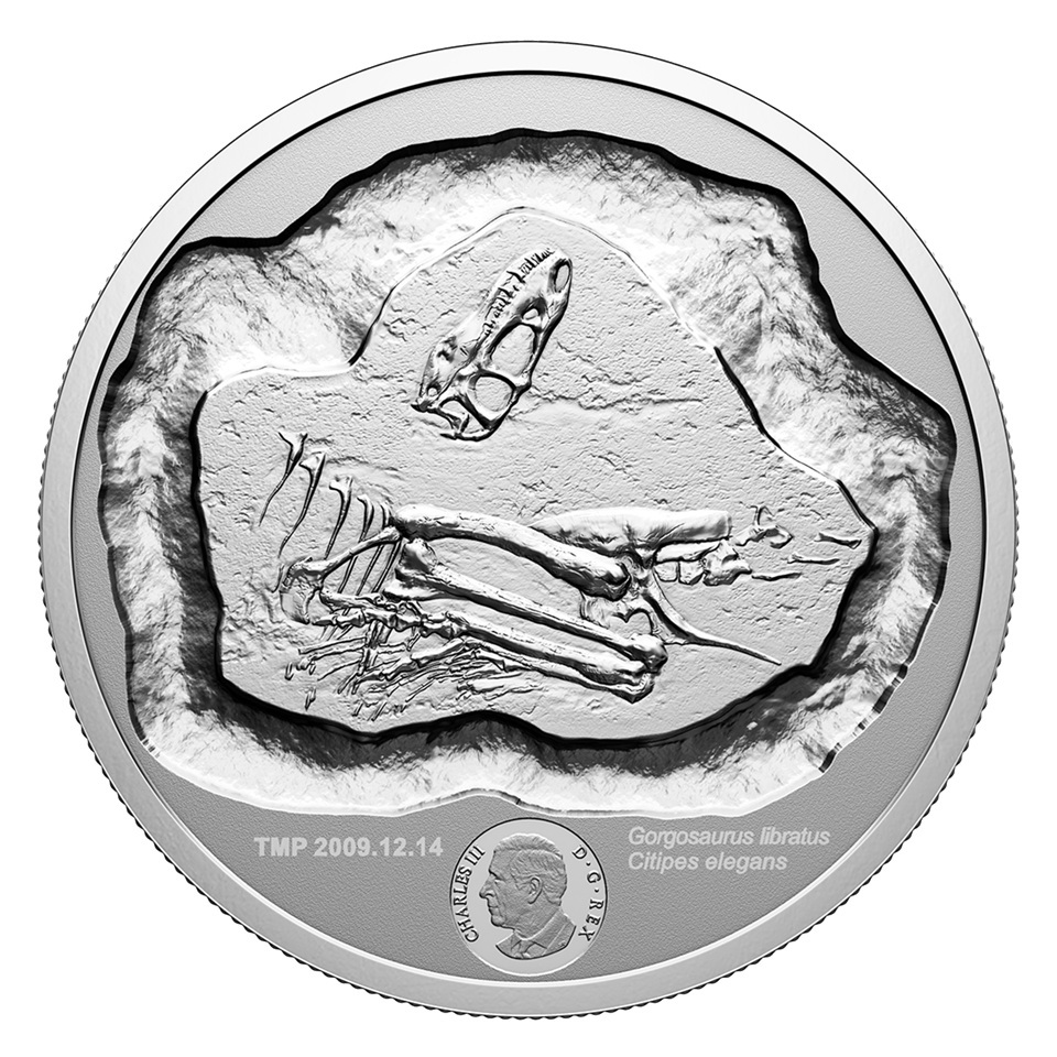 Canada - Pièce 50 Dollars 2026 argent BE - Dinosaures canadiens – Image 2