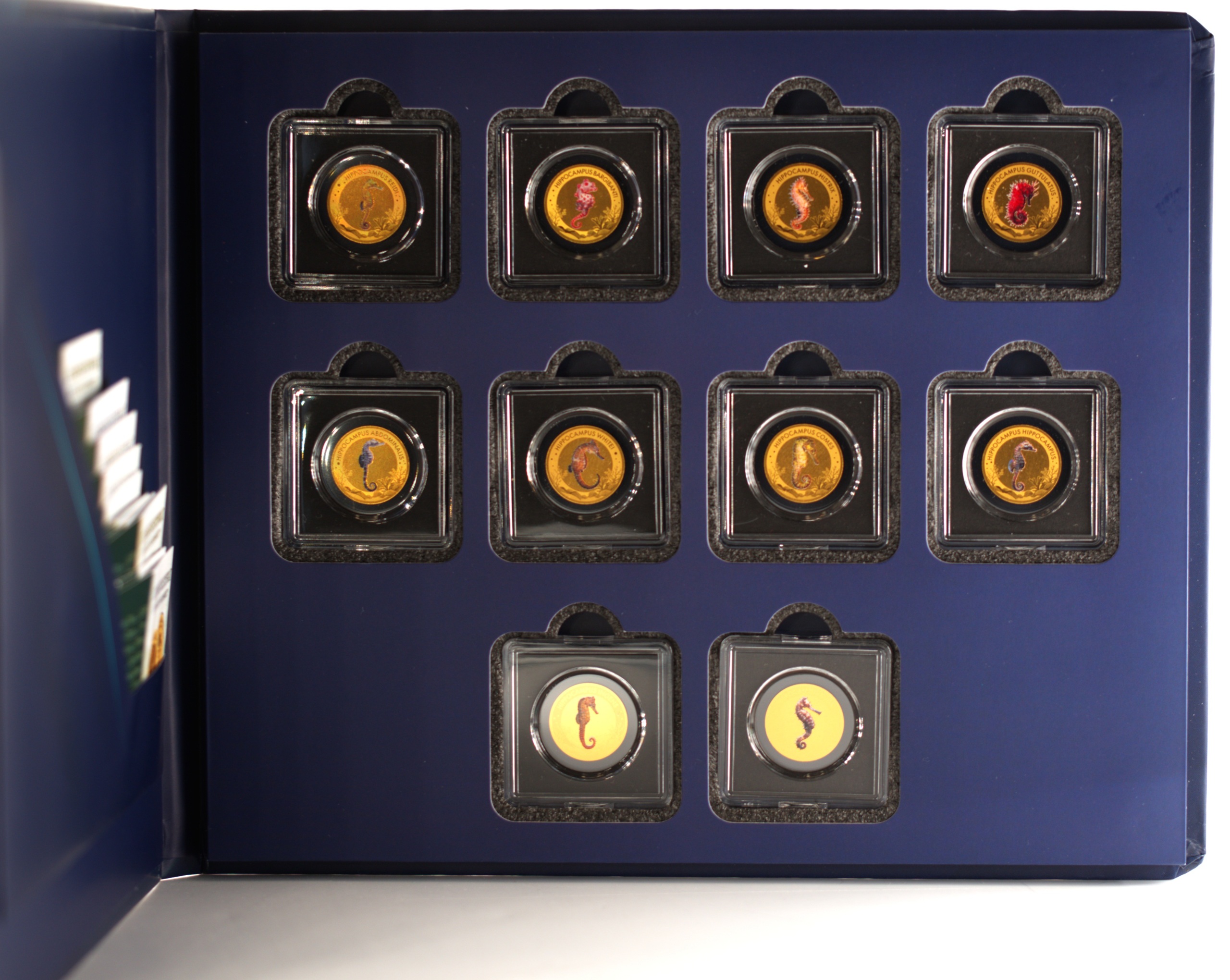 Gabon - Coffret Francs CFA or - Les plus intéressants hippocampes – Image 5