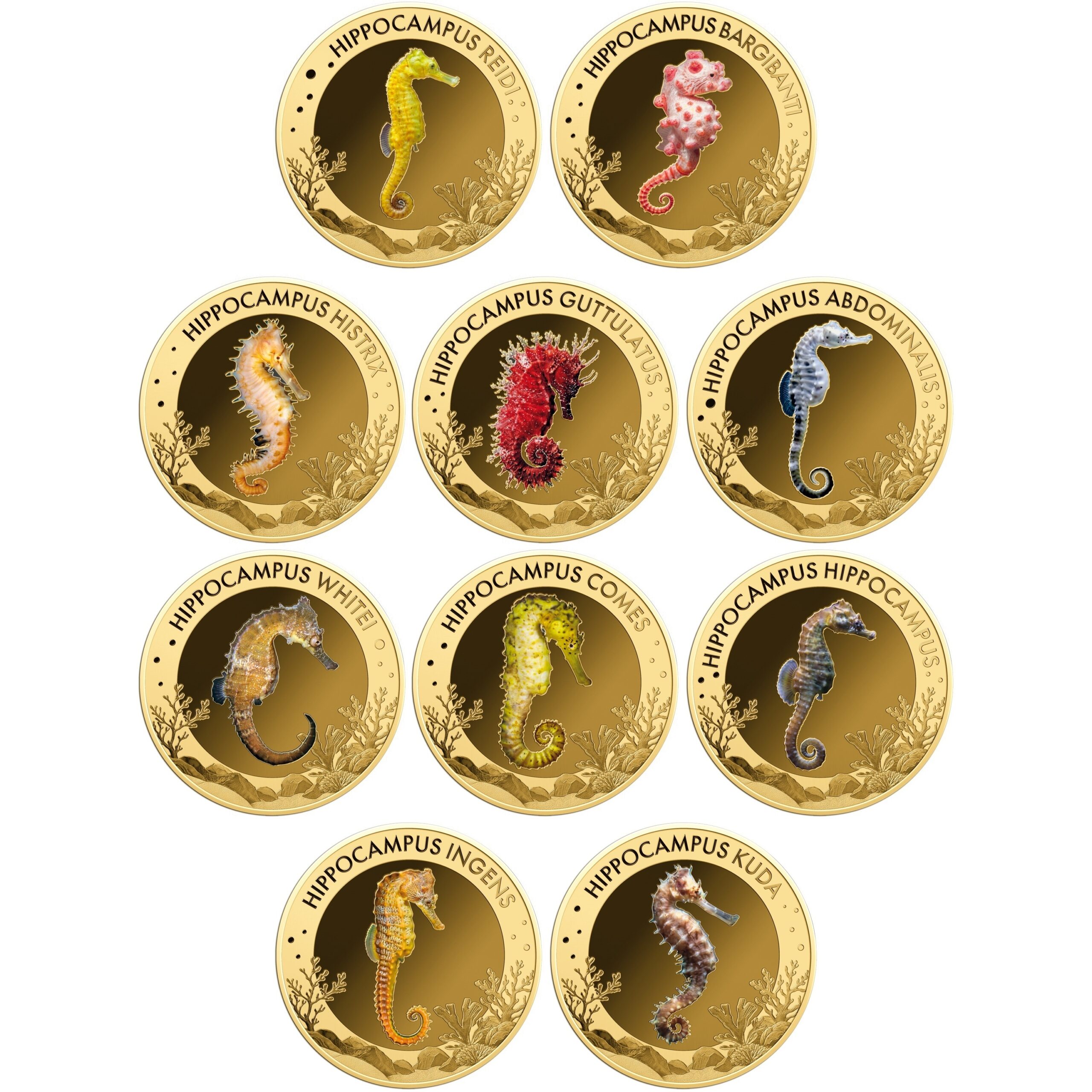 Gabon - Coffret Francs CFA or - Les plus intéressants hippocampes – Image 2