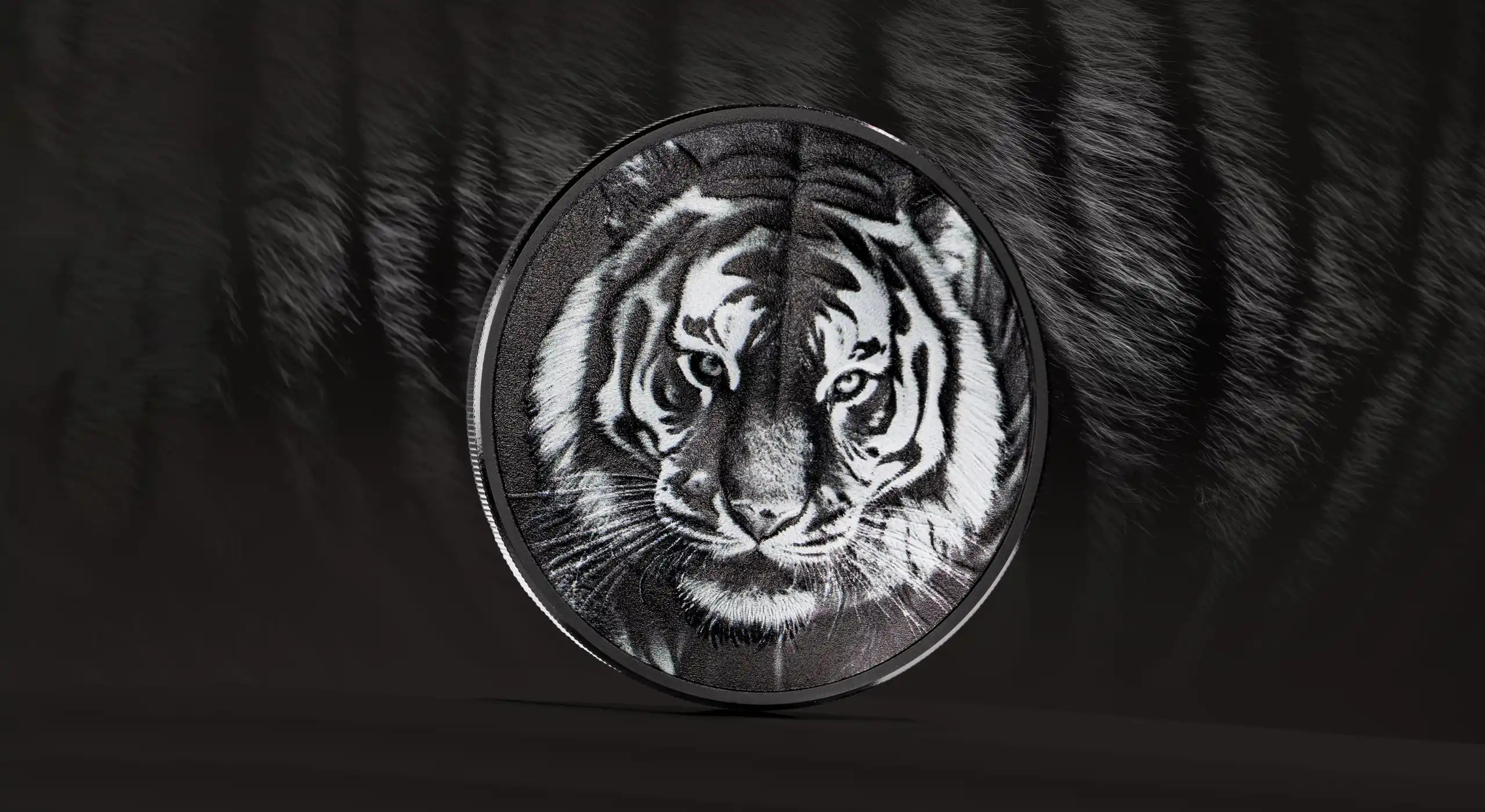Iles Cook - Pièce 5 Dollars 2025 argent Noir obsidienne - Tigre – Image 4
