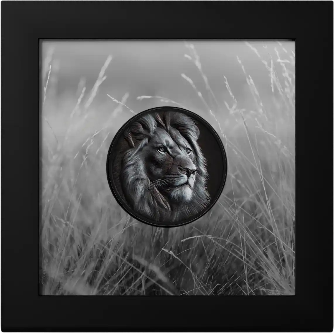 Iles Cook - Pièce 5 Dollars 2026 argent Noir obsidienne - Lion – Image 3