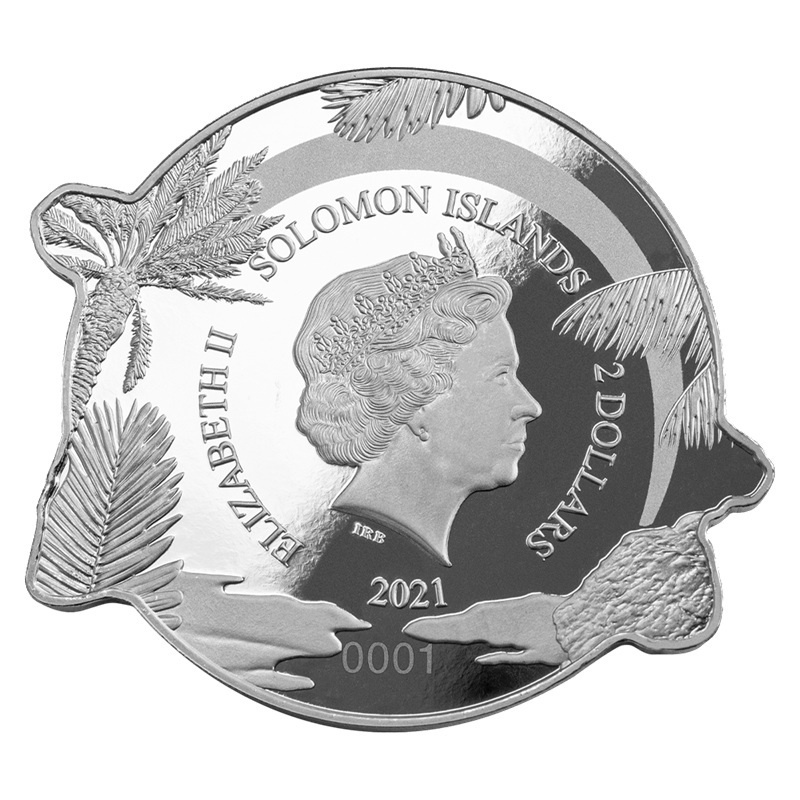 Iles Salomon - Pièce 2 Dollars 2021 1 once argent - Tortue géante des Galápagos – Image 2