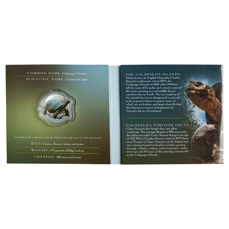 Iles Salomon - Pièce 2 Dollars 2021 1 once argent - Tortue géante des Galápagos – Image 4