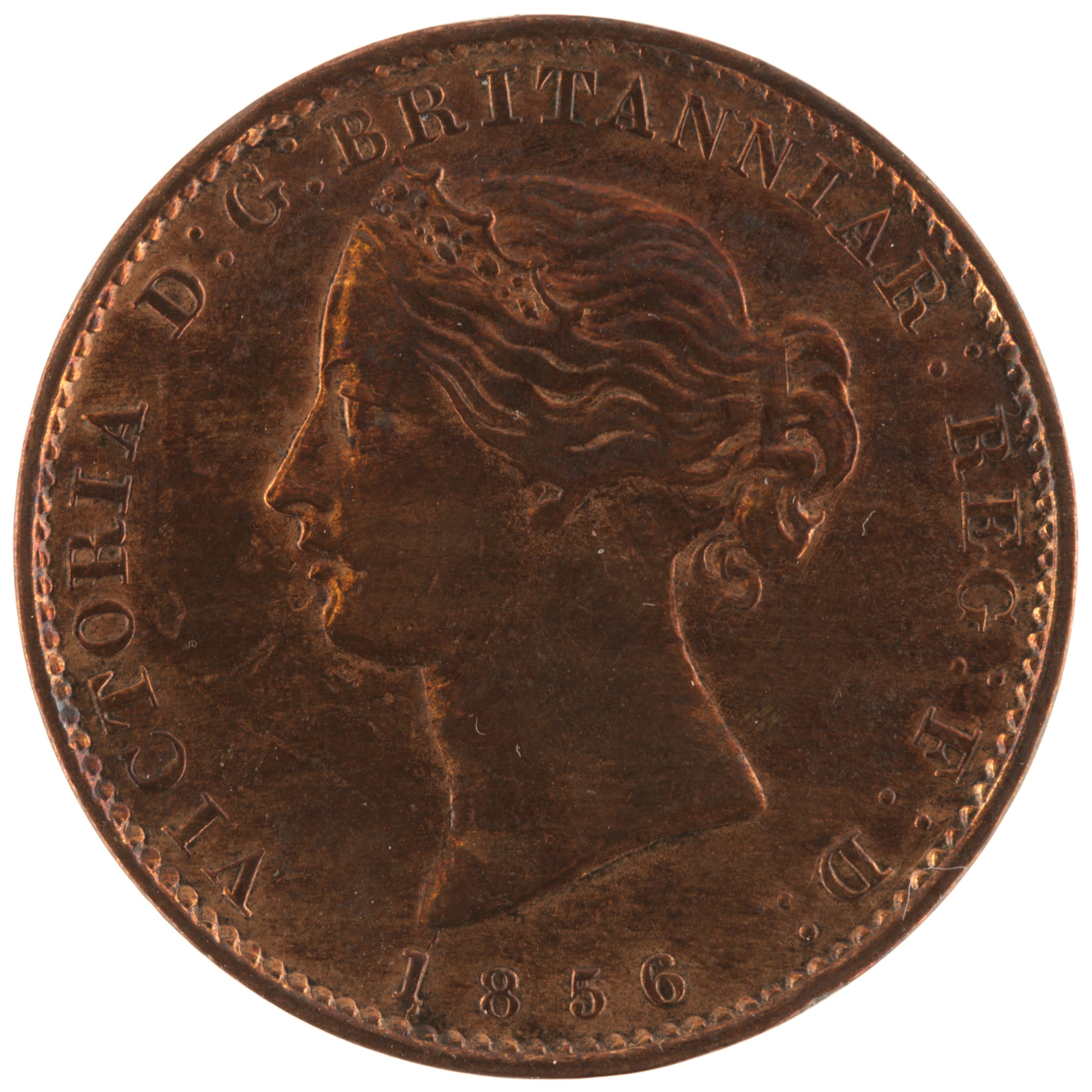 Nouvelle-Ecosse - Pièce Halfpenny 1856 bronze - Victoria / Fleurs de mai