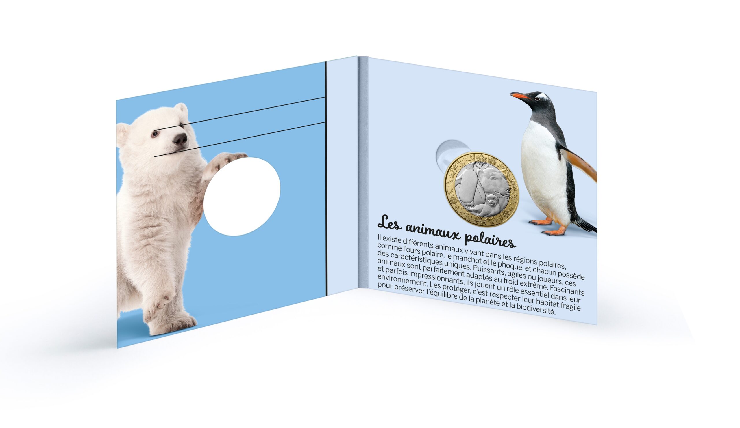 France - Pièce 5 Euro 2026 cuivre-nickel-zinc - Animaux polaires – Image 5