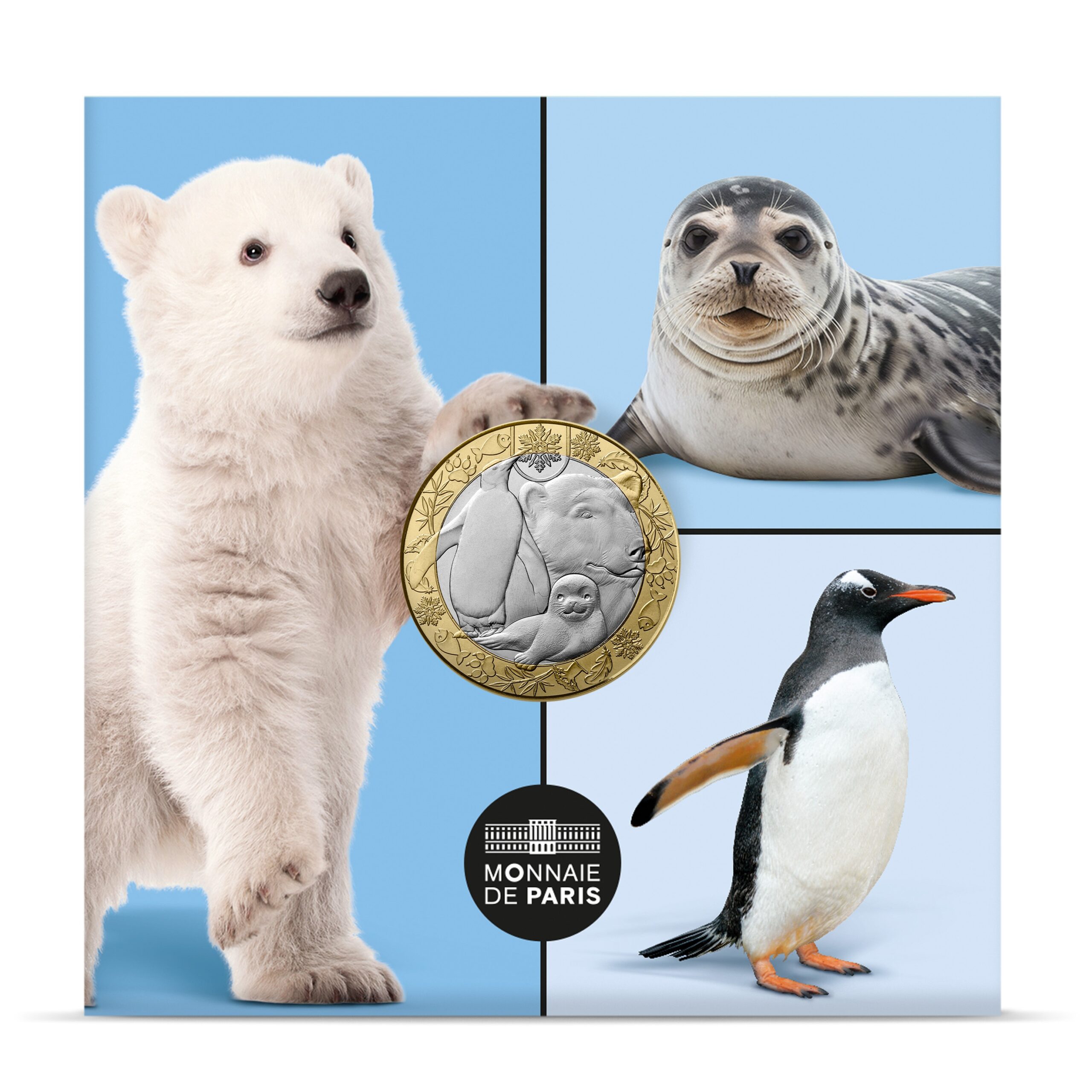France - Pièce 5 Euro 2026 cuivre-nickel-zinc - Animaux polaires – Image 3