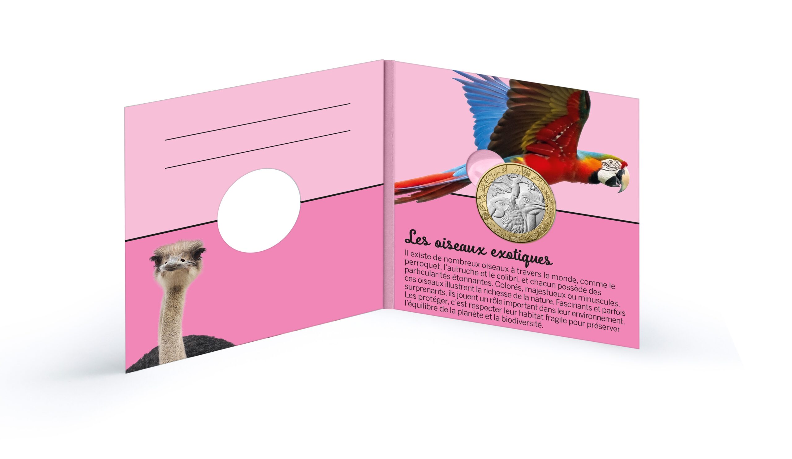 France - Pièce 5 Euro 2026 cuivre-nickel-zinc - Oiseaux – Image 5