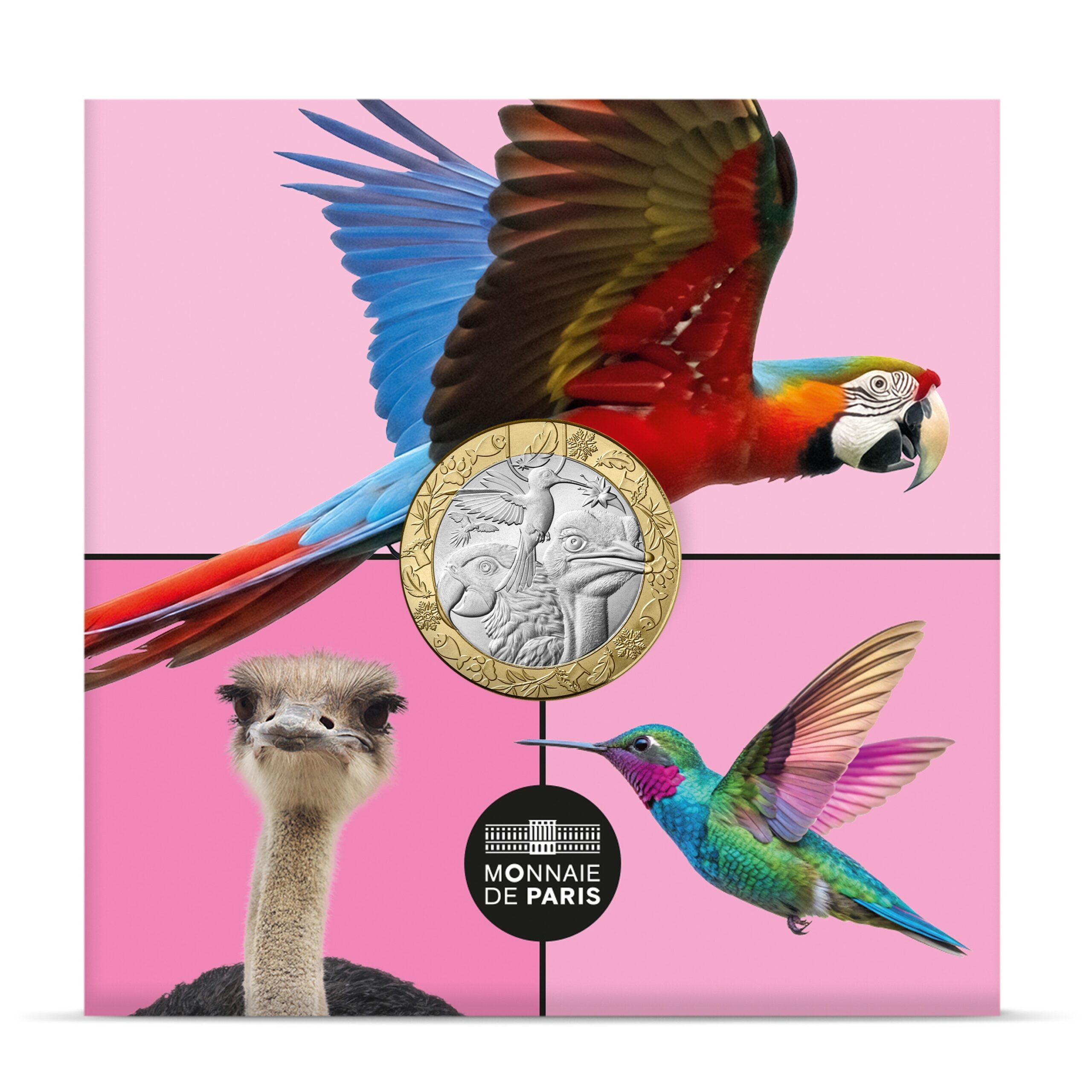 France - Pièce 5 Euro 2026 cuivre-nickel-zinc - Oiseaux – Image 3