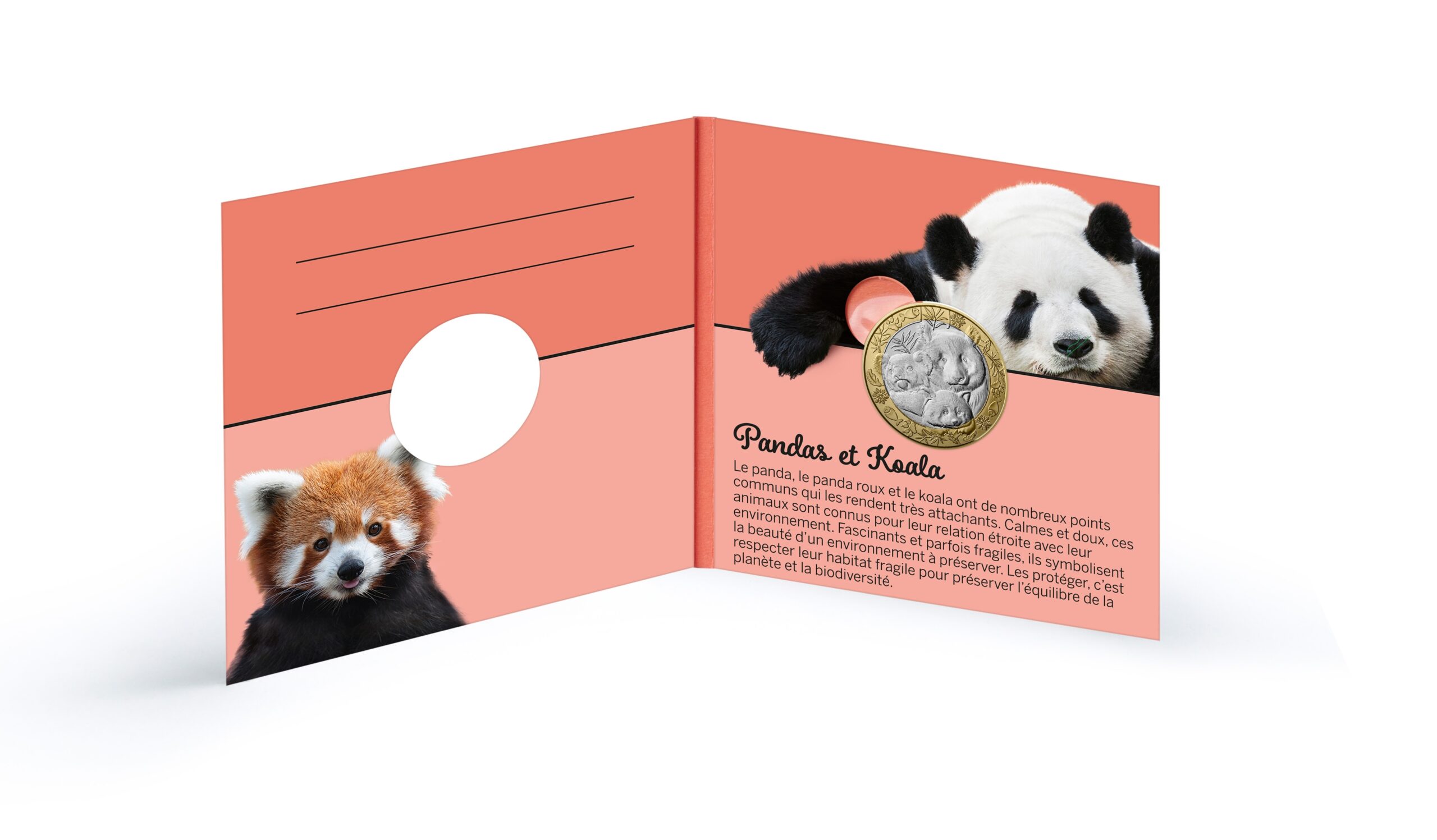 France - Pièce 5 Euro 2026 cuivre-nickel-zinc - Koala et pandas – Image 5