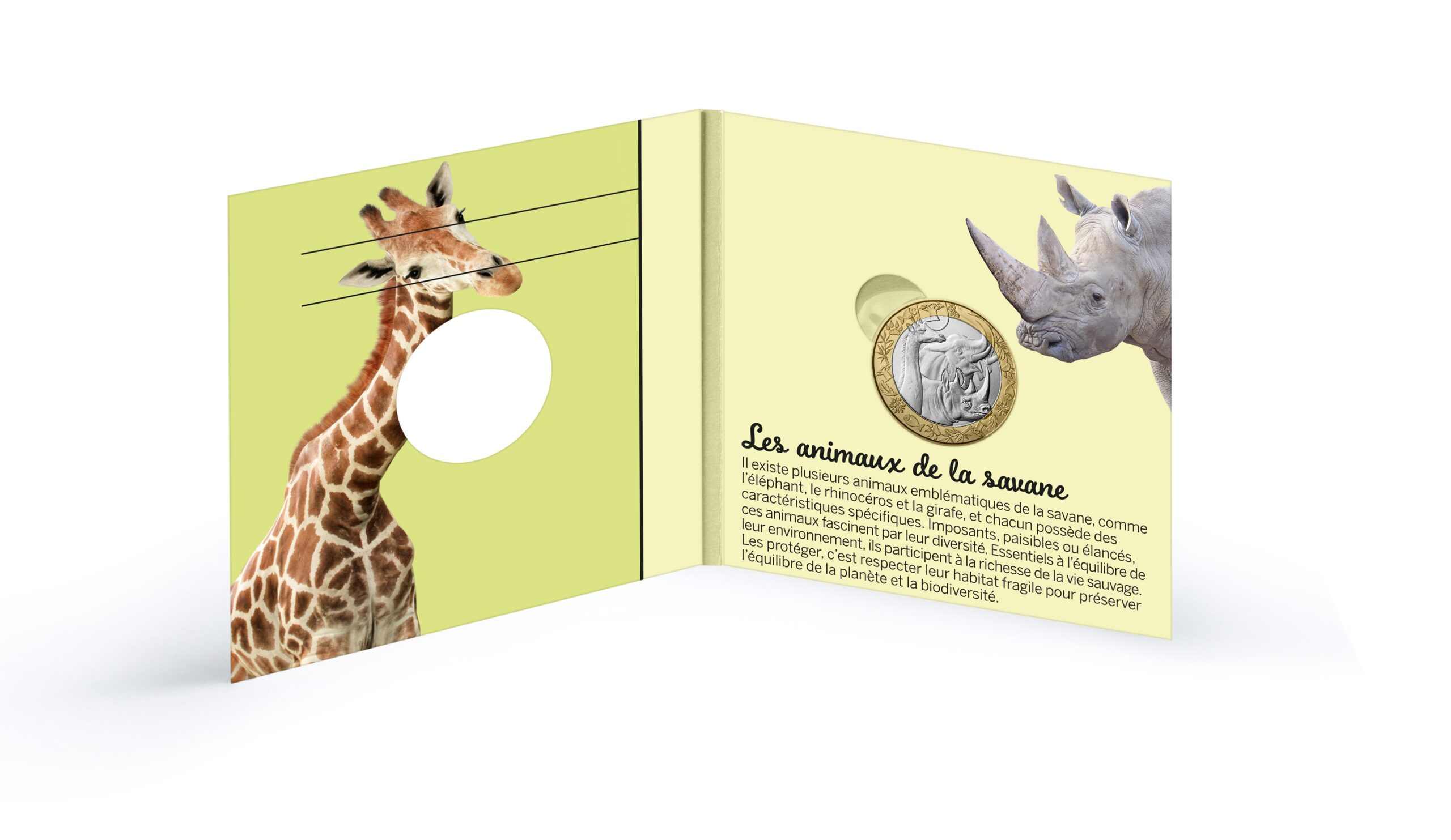 France - Pièce 5 Euro 2026 cuivre-nickel-zinc - Animaux de la savane – Image 5