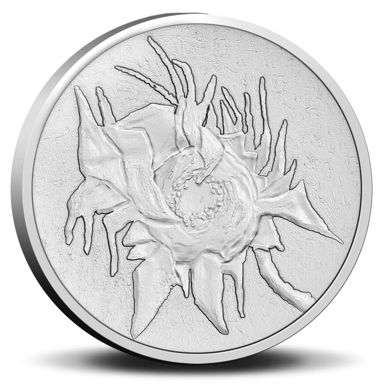 Pays-Bas - Carte Euro 2023 BU - Musée Van Gogh – Image 3