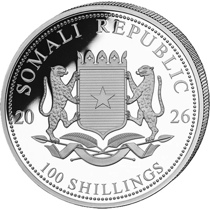 Somalie - Pièce 100 Shillings 2026 1 once argent BU - Léopard – Image 2