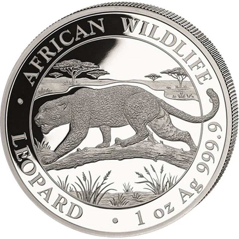Somalie - Pièce 100 Shillings 2026 1 once argent BU - Léopard