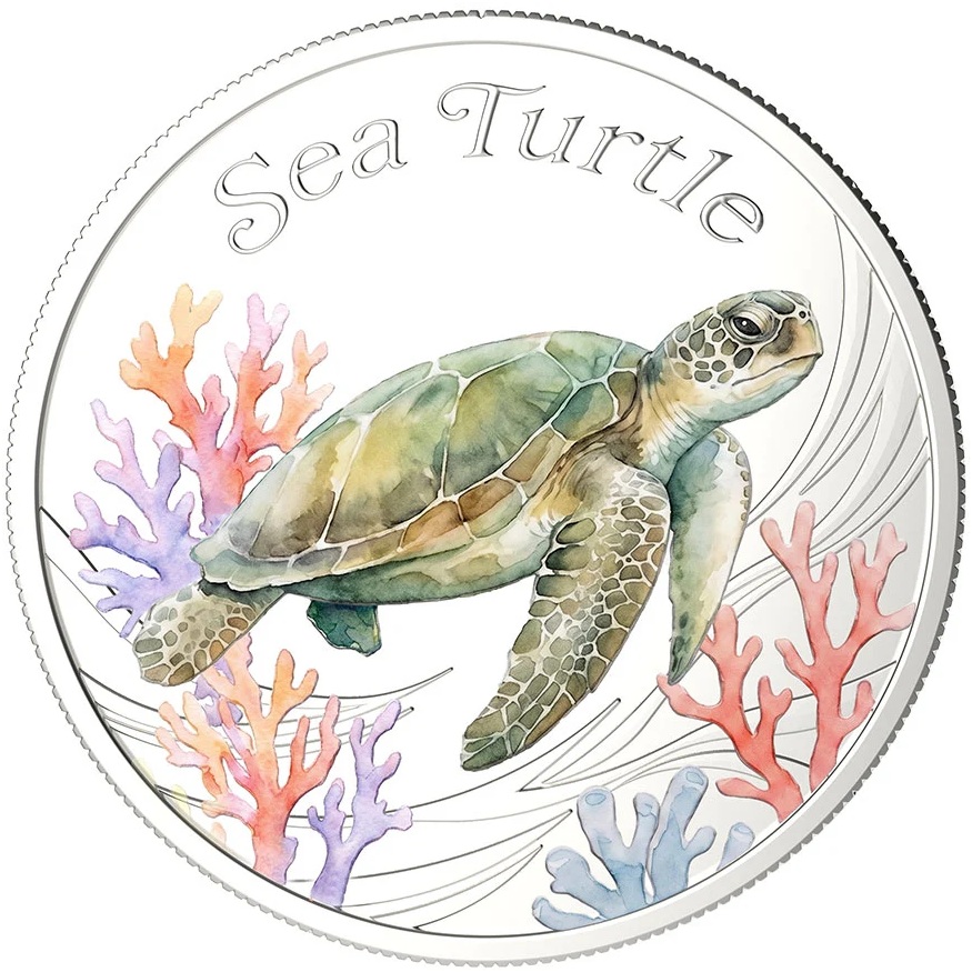 Iles Salomon - Pièce Half Dollar 2026 fer BE - Tortue marine – Image 3